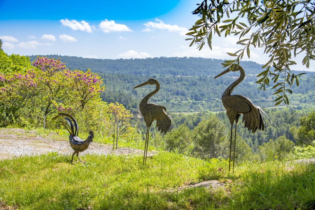 B&B Chateau Ciceron Ribaute Экстерьер фото